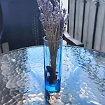 Appartement Imadni Valo Sarokkadas Belvarosaban